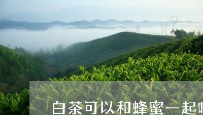 白茶可以和蜂蜜一起吗/2023100583936