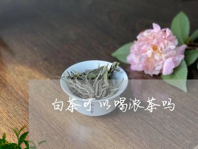 白茶可以喝浓茶吗/2023080164958