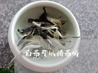 白茶可以拼茶吗/2023060488361