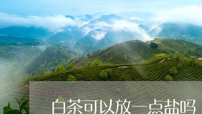 白茶可以放一点盐吗/2023072286269