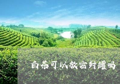 白茶可以放密封罐吗/2023072358048