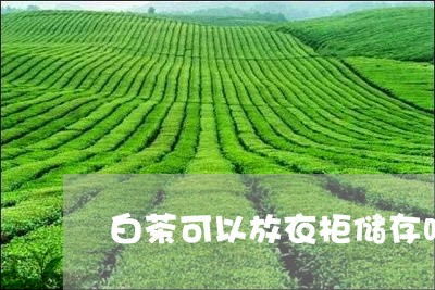 白茶可以放衣柜储存吗/2023100526360