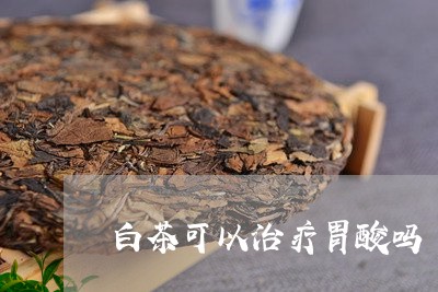 白茶可以治疗胃酸吗/2023072314359