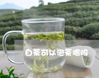 白茶可以泡茶喝吗/2023080190936