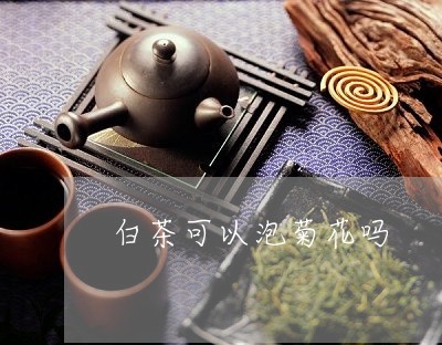 白茶可以泡菊花吗/2023080116059