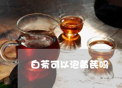 白茶可以泡黄芪吗/2023080144156