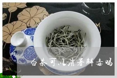 白茶可以消暑解毒吗/2023072368581