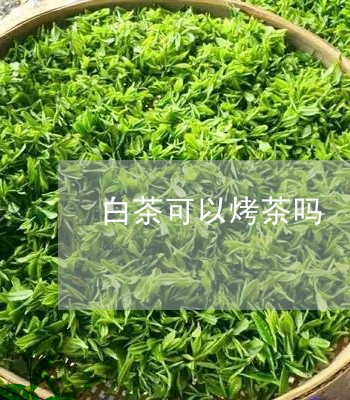 白茶可以烤茶吗/2023060452713