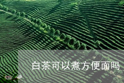 白茶可以煮方便面吗/2023072346857