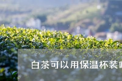 白茶可以用保温杯装吗/2023100506263