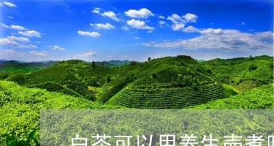 白茶可以用养生壶煮吗/2023100581727