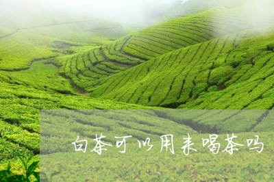 白茶可以用来喝茶吗/2023072320603