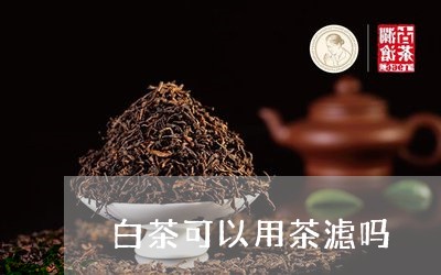 白茶可以用茶滤吗/2023080190694