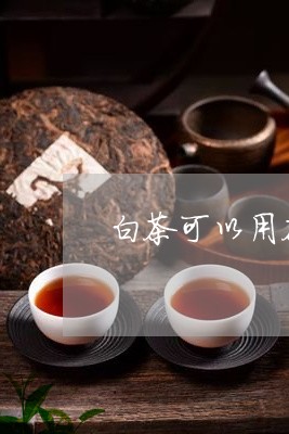 白茶可以用茶饼泡吗/2023072364138