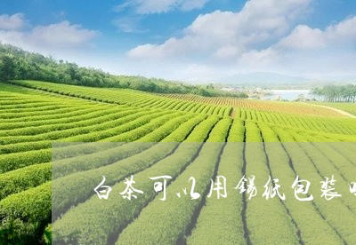 白茶可以用锡纸包装吗/2023100530503