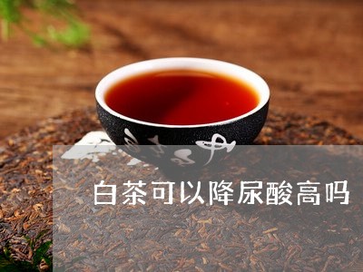 白茶可以降尿酸高吗/2023072226138