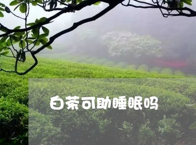 白茶可助睡眠吗/2023060413160