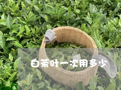 白茶叶一次用多少/2023080183836