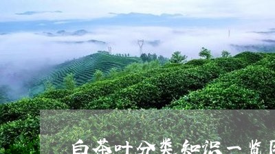 白茶叶分类知识一览图/2023100525826