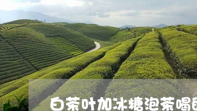 白茶叶加冰糖泡茶喝的功效/2023110699605