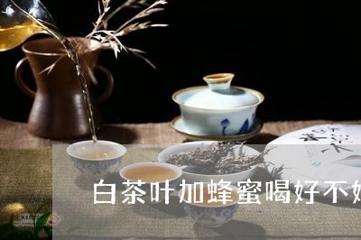 白茶叶加蜂蜜喝好不好/2023100581605