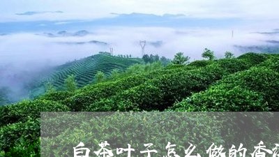 白茶叶子怎么做的香浓/2023100524078