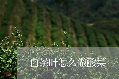 白茶叶怎么做酸菜/2023080126450