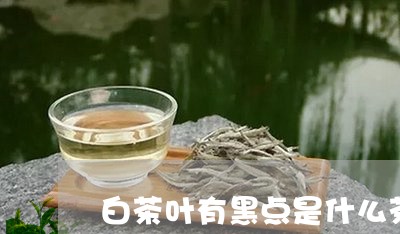 白茶叶有黑点是什么茶/2023100551727