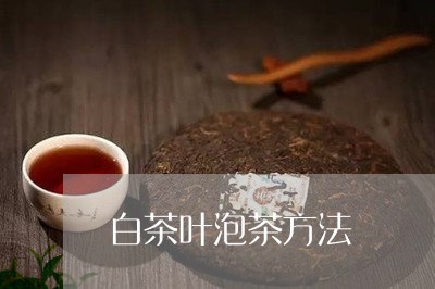 白茶叶泡茶方法/2023060419362