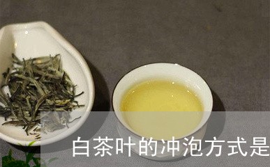 白茶叶的冲泡方式是什么/2023111772726