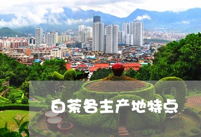 白茶各主产地特点/2023080122824