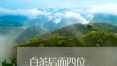 白茶后面四位/2023051900482