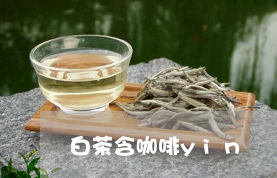 白茶含咖啡yin/2023080294350