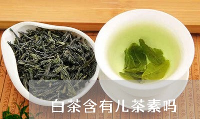 白茶含有儿茶素吗/2023080257392