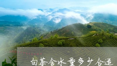 白茶含水量多少合适/2023072250805