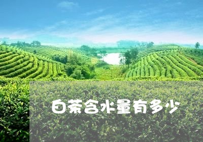 白茶含水量有多少/2023080214040