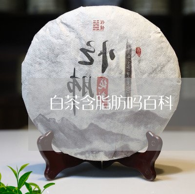 白茶含脂肪吗百科/2023080251494