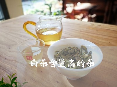 白茶含量高的茶/2023060409372