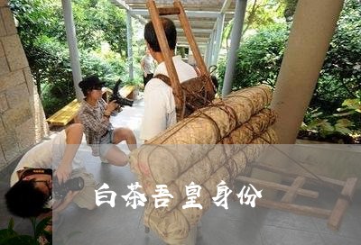 白茶吾皇身份/2023051972614