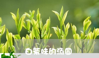 白茶味的汤圆/2023051959659