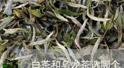 白茶和乌龙茶选哪个/2023062975828