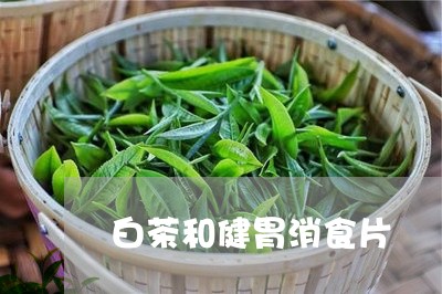 白茶和健胃消食片/2023080246958