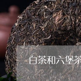 白茶和六堡茶区别/2023080258403