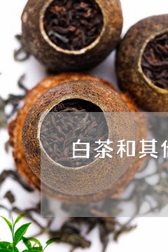 白茶和其他茶叶贵/2023080206048