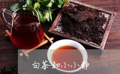 白茶和小小静/2023051927258