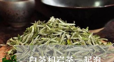 白茶和岩茶一起泡/2023111580594