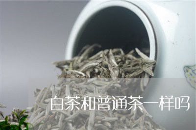 白茶和普通茶一样吗/2023072383716