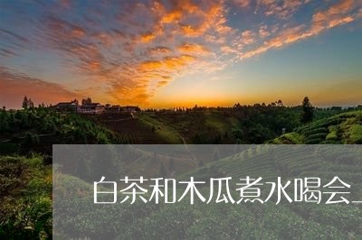 白茶和木瓜煮水喝会上火吗/2023110661926