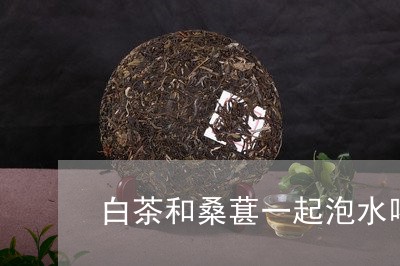 白茶和桑葚一起泡水喝的功效/2023111566069