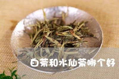 白茶和水仙茶哪个好/2023072250583